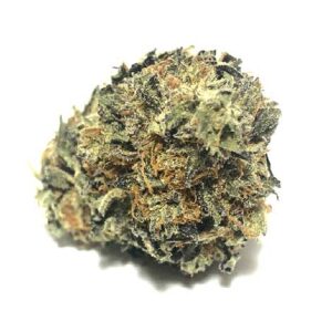 blue gelato from haute health cheap weed ounce $99