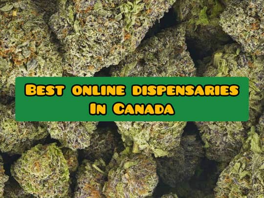 best online dispensary canada