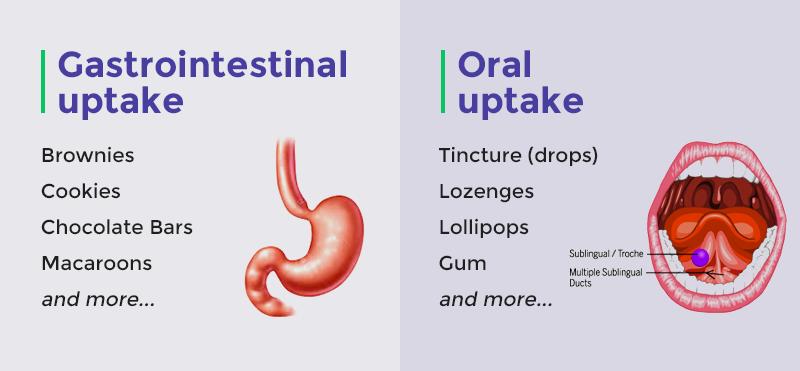 edibles absoption types
