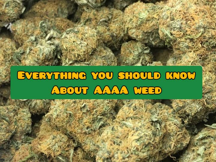 AAAA weed guide canada