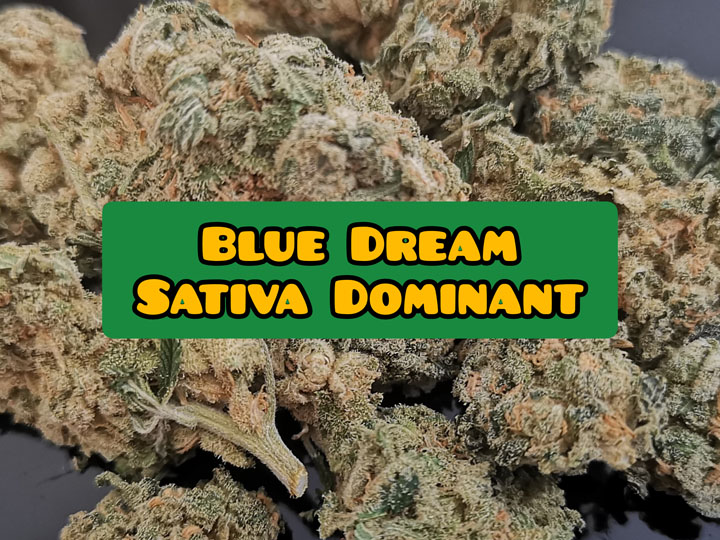 blue dream weed strain review