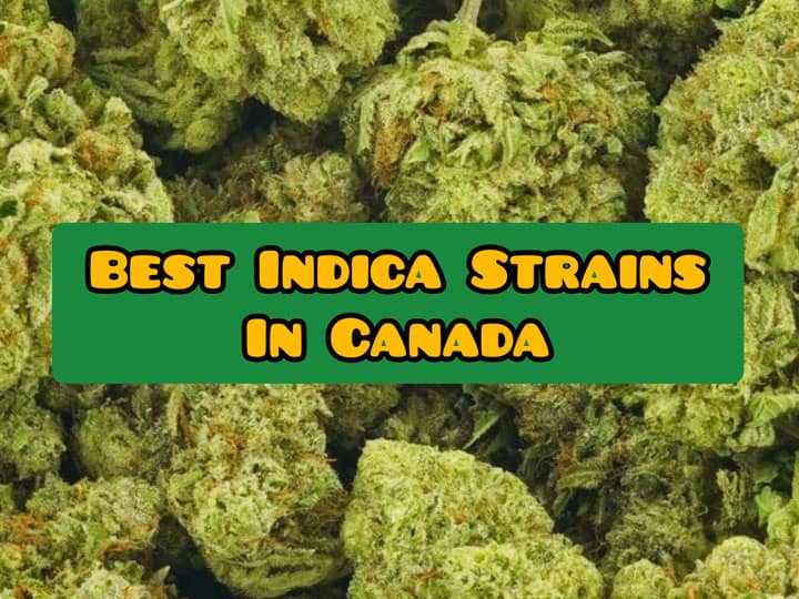 best indica strains