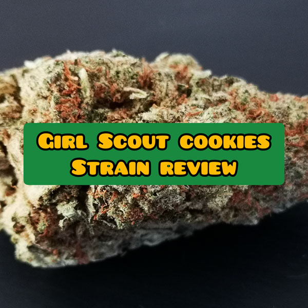 girl scout cookies strain review and info