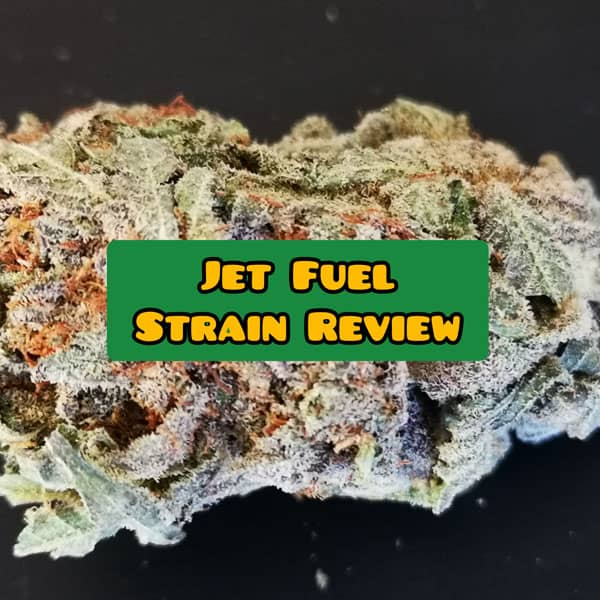 jet fuel strain review