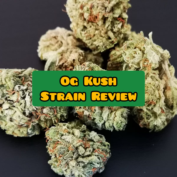 og kush strain review