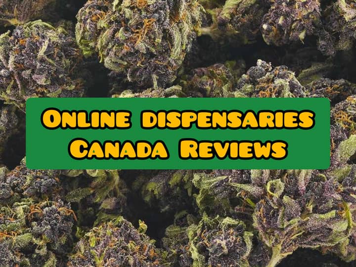 online dispensary canada reviews