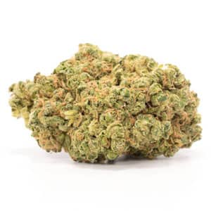 durban poison sativa strain