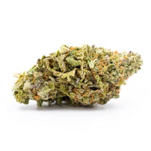 sativa strain jack herer