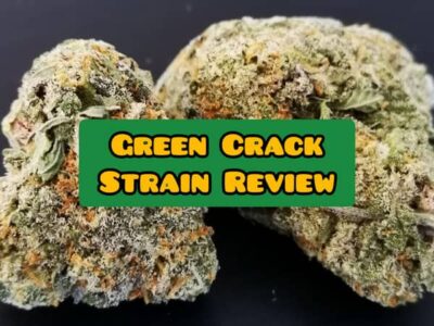 green rack strain review and info