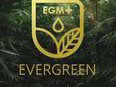 evergreen medicinal review