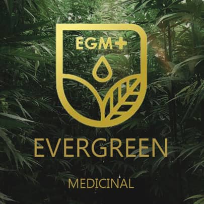 evergreen medicinal review