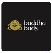 Buddha Buds Weed Delivery