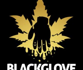 BlackGlove Mail Order Service