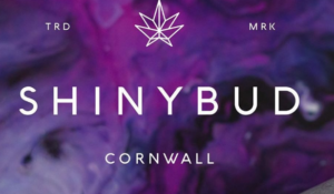 Shiny Bud Cornwall