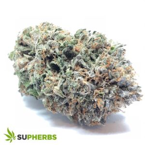 skywalker-OG-strain-buy-online