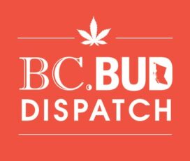 BCBud Dispatch