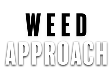 Weedapproach #1 Weed Delivery Vancouver