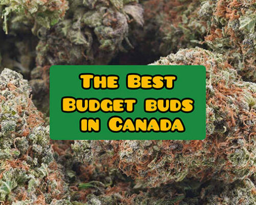 best budget buds canada