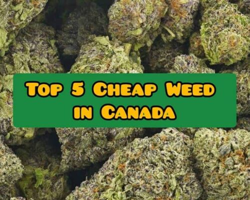 top 5 cheap weed canada