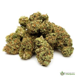 WHITE-WIDOW-4