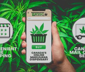Leaf2go Online Dispensary Canada