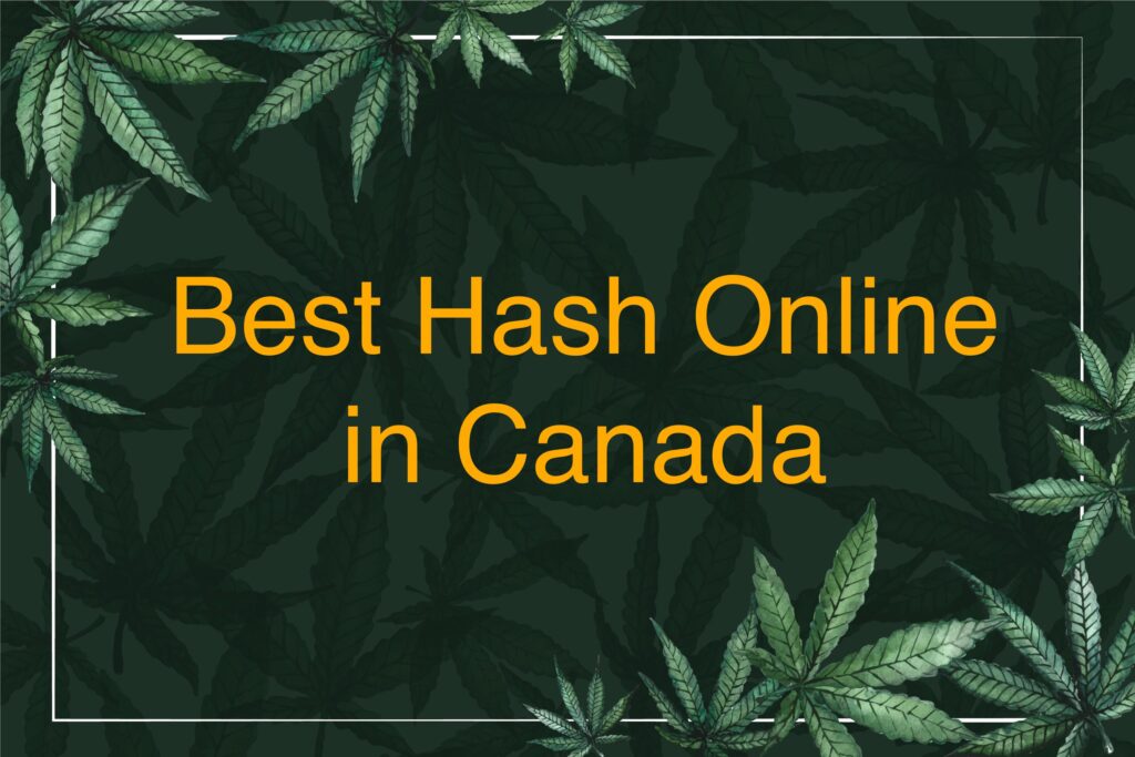 Order the Best Hash Online in Canada
